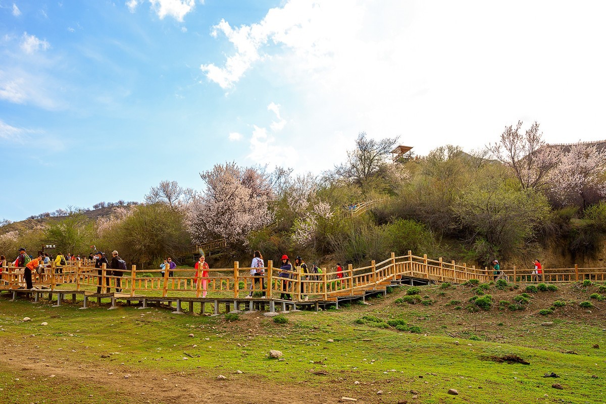 旅游记录：新疆 · 霍城 · 中华福寿山 · 大西沟杏花林（一）