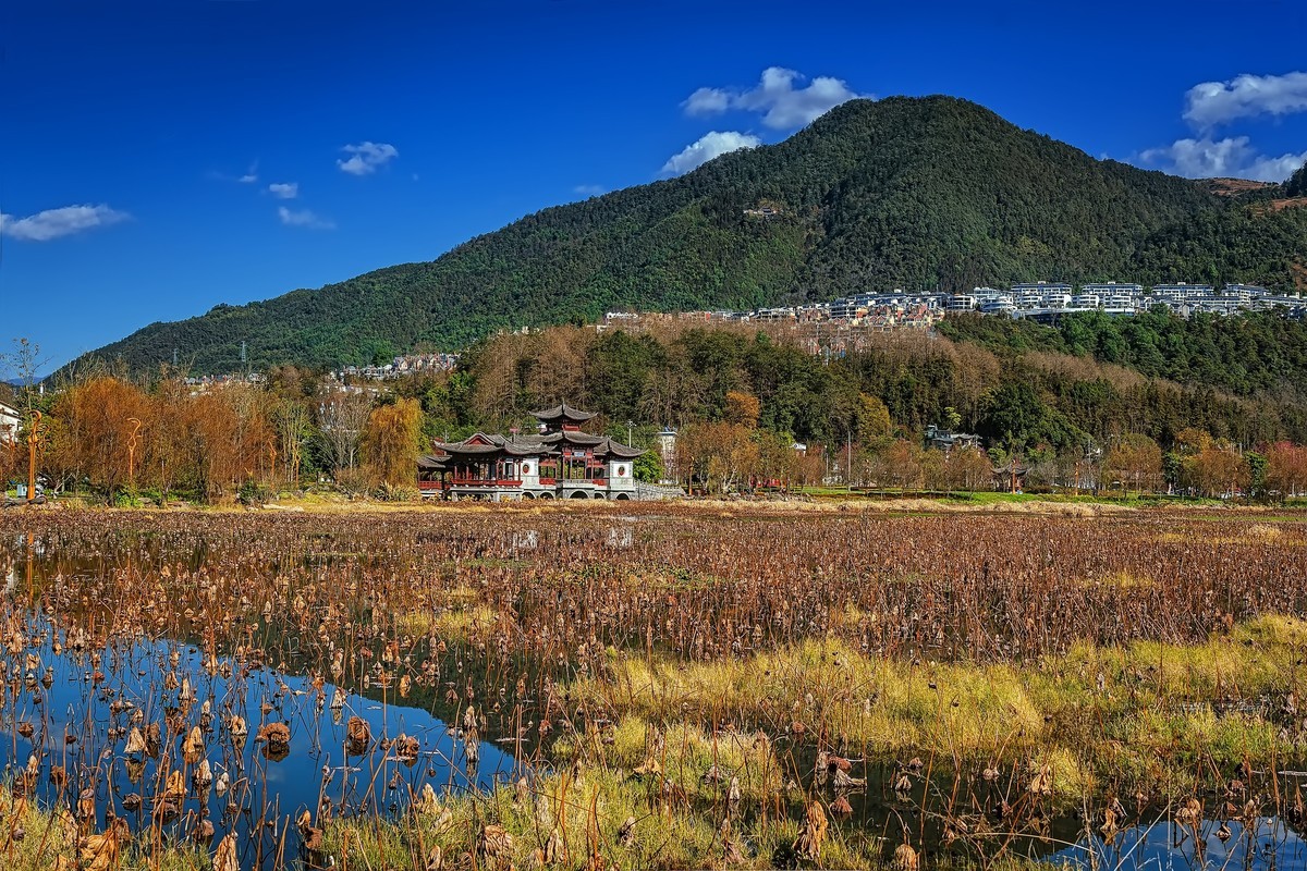 腾冲东湖公园图片