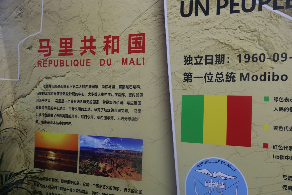 第三届中非国际沦坛---1