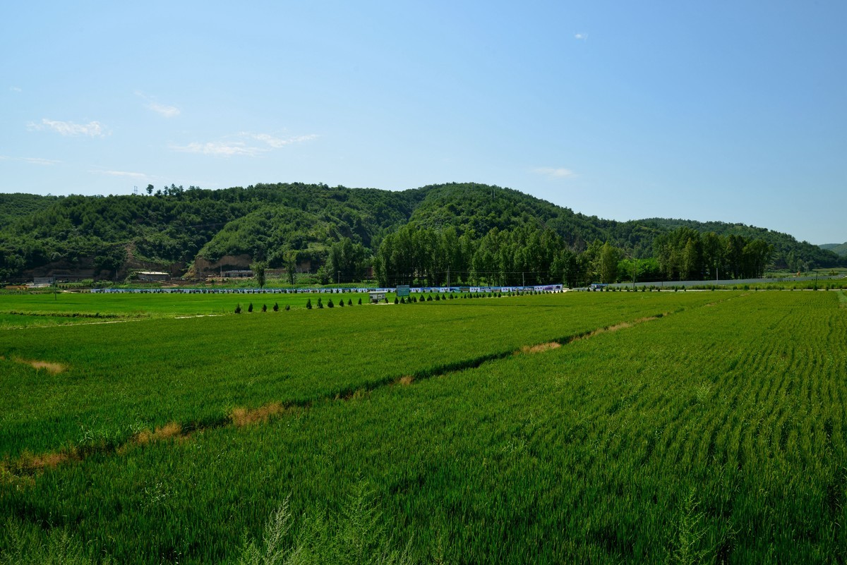 陕北江南——南泥湾