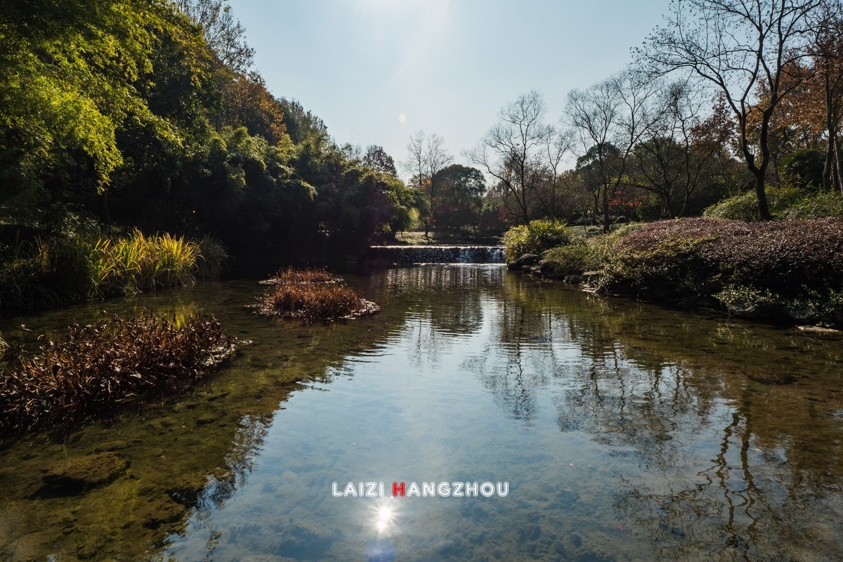 冬已至 秋未尽 (3)