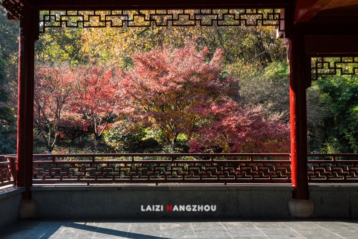 冬已至 秋未尽 (3)