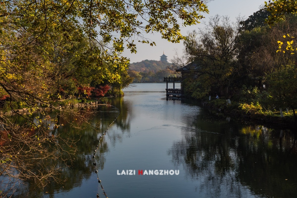 冬已至 秋未尽 (3)