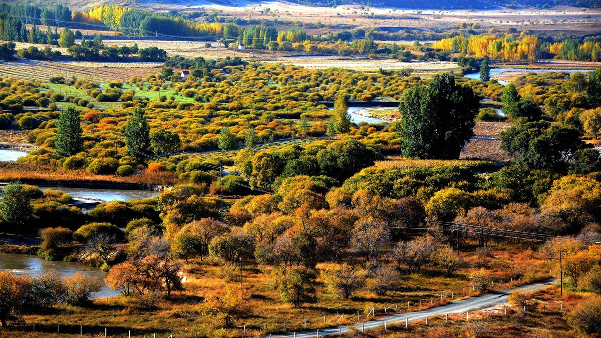 旅拍 — 克什克腾旗（金乌线）秋色