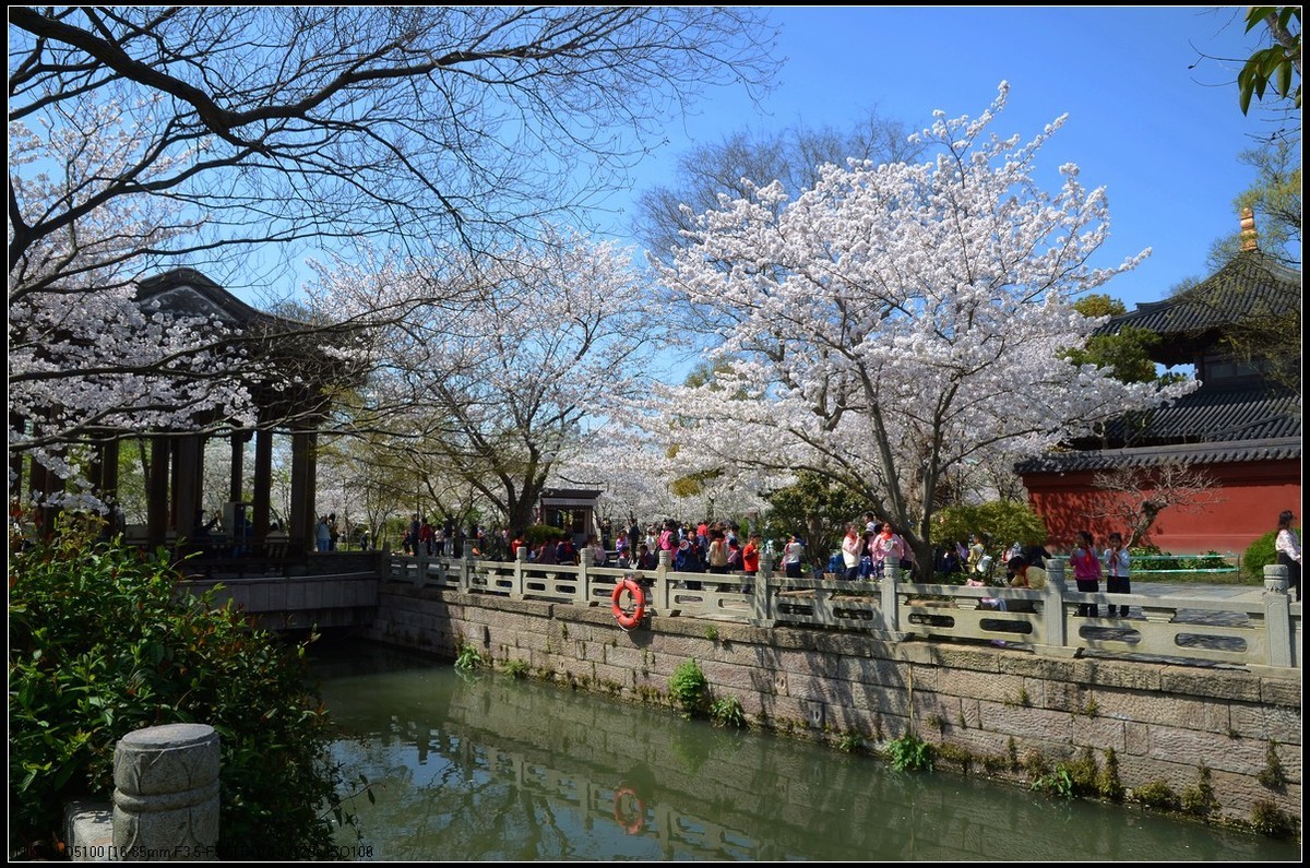广富林遗址公园