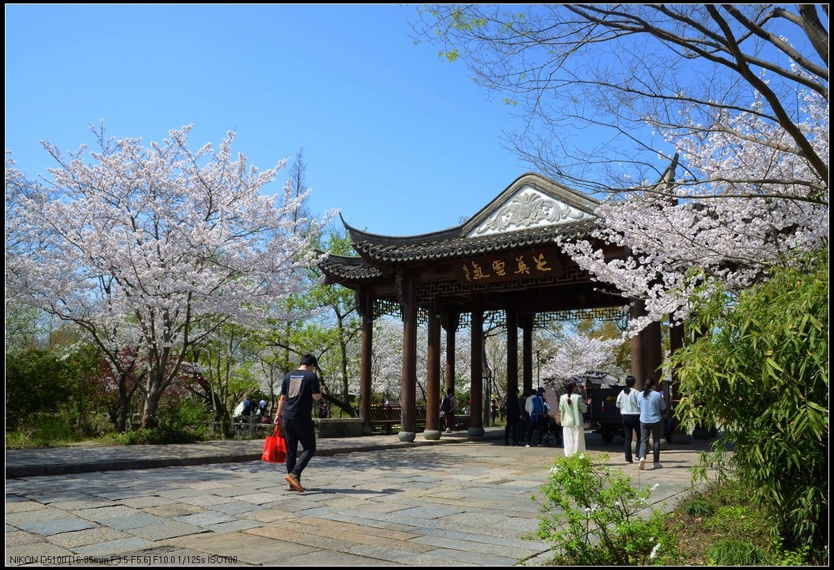 广富林遗址公园