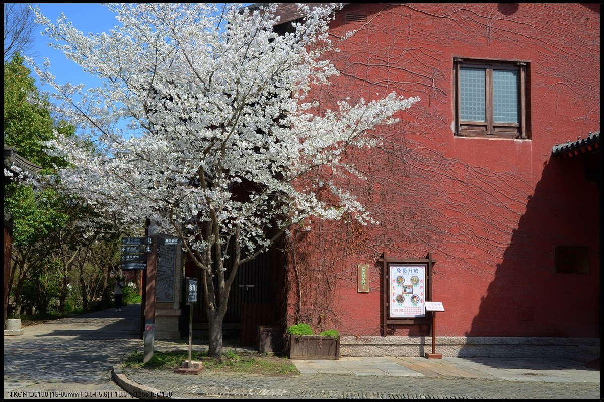 广富林遗址公园