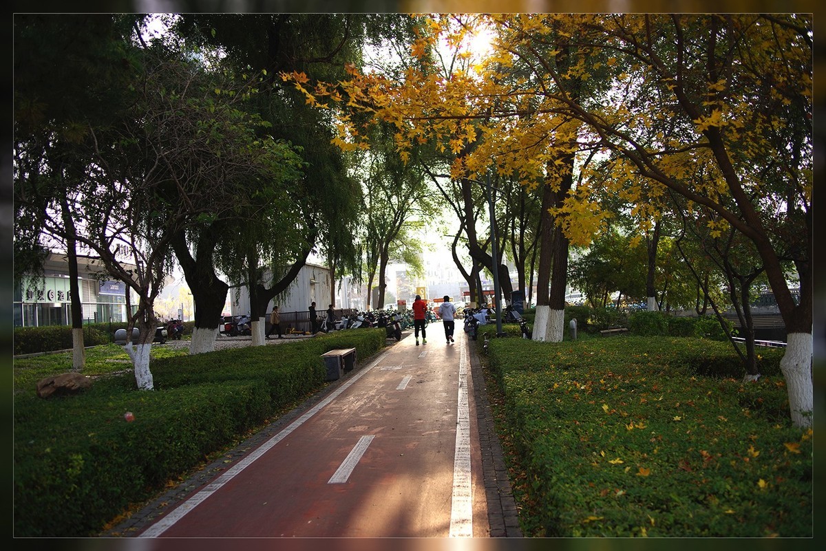 金秋时节随笔...