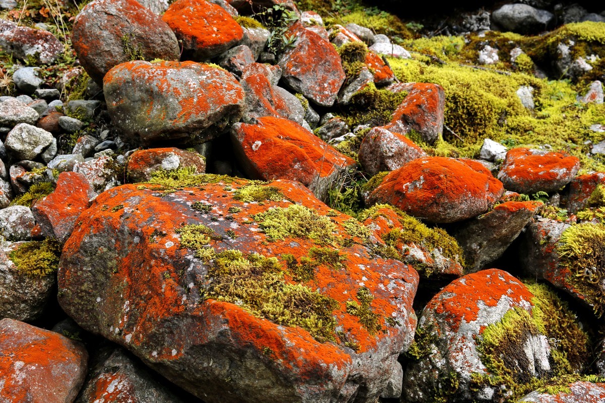 川西特有的景色--红石滩