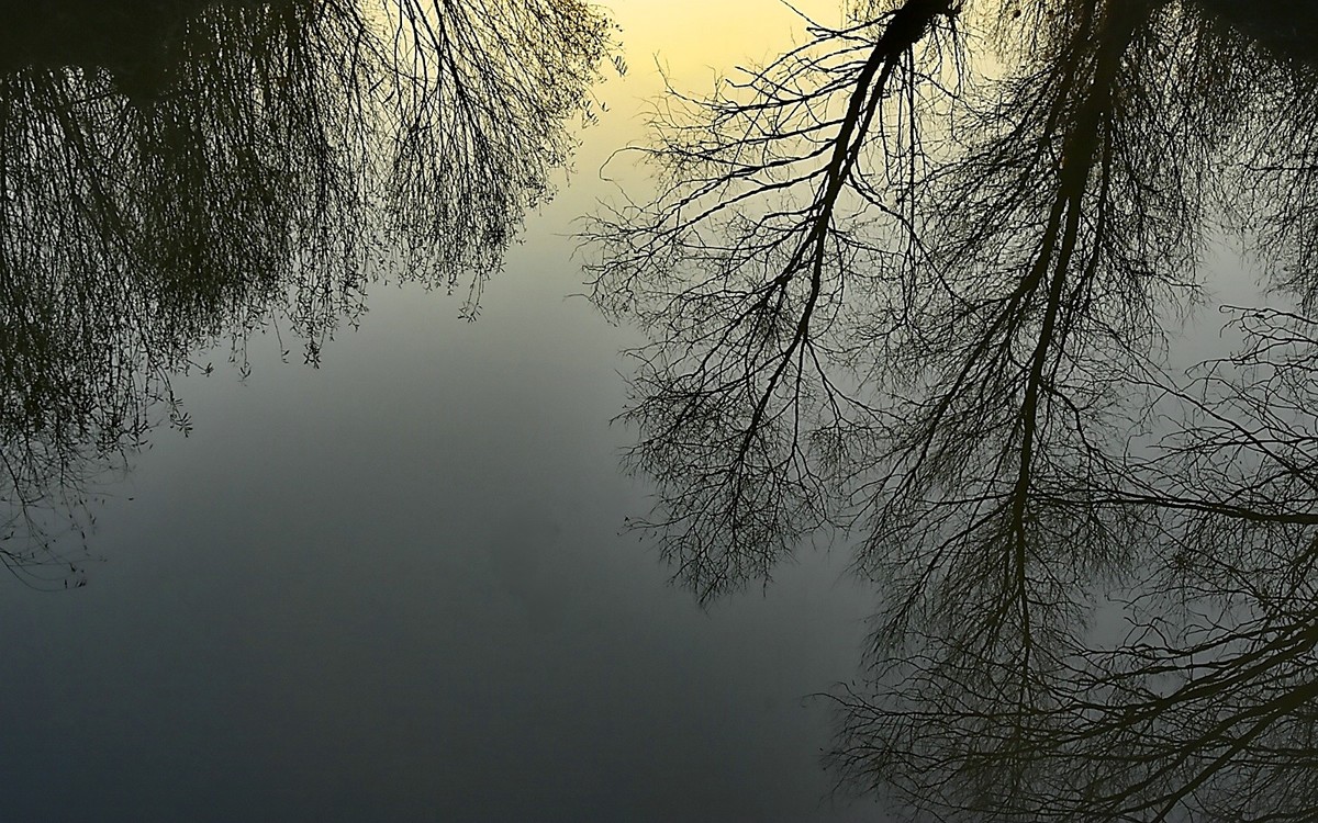 黄河的早晨----以此贴谢各位好友的支持-----