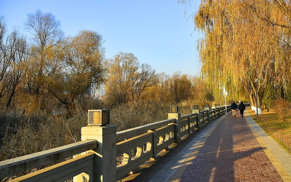 黄河的早晨----以此贴谢各位好友的支持-----