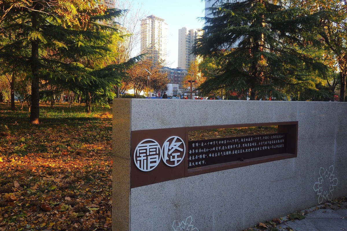 冬日· 街角公园2