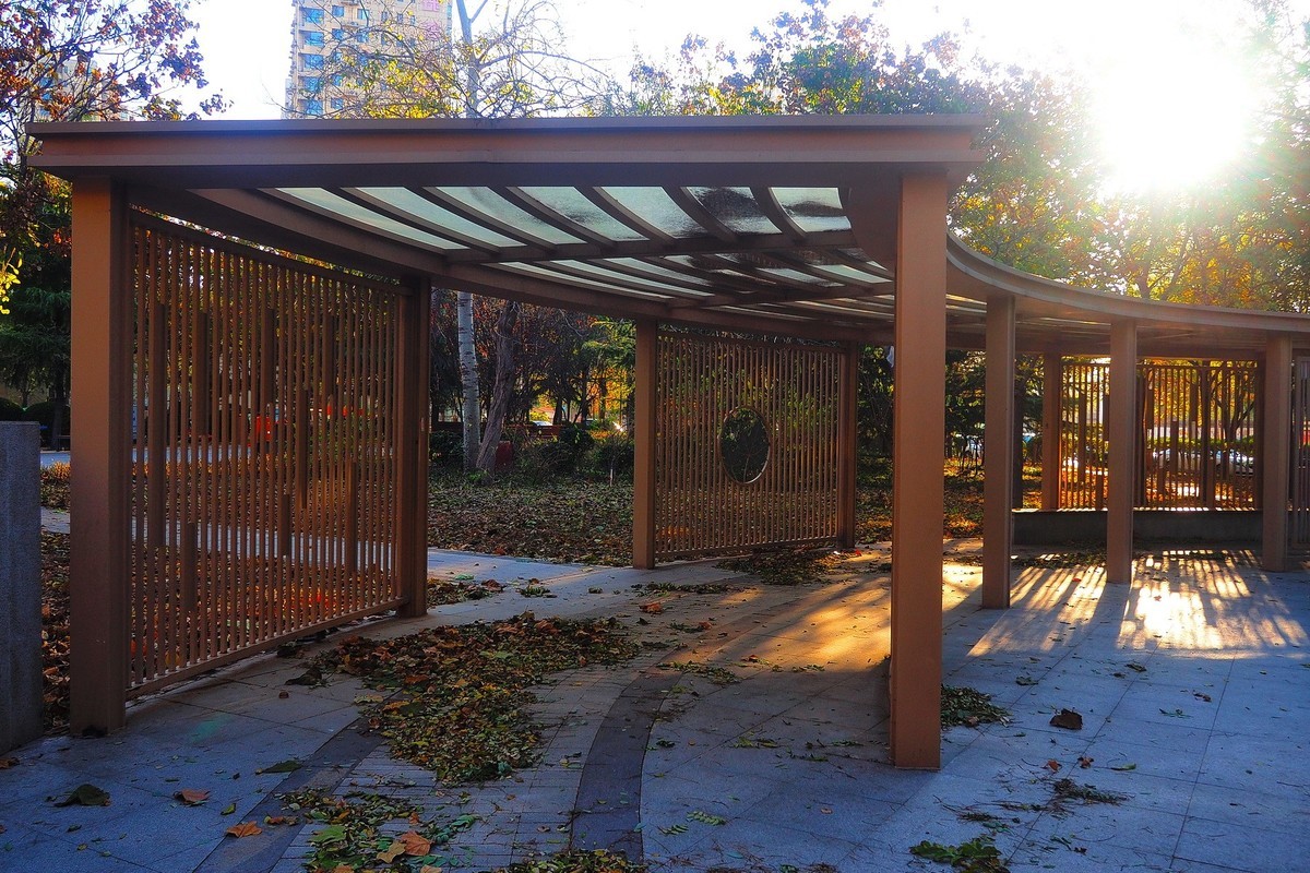 冬日· 街角公园2