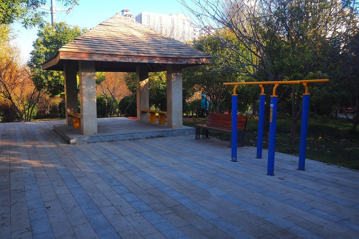 冬日· 街角公园2