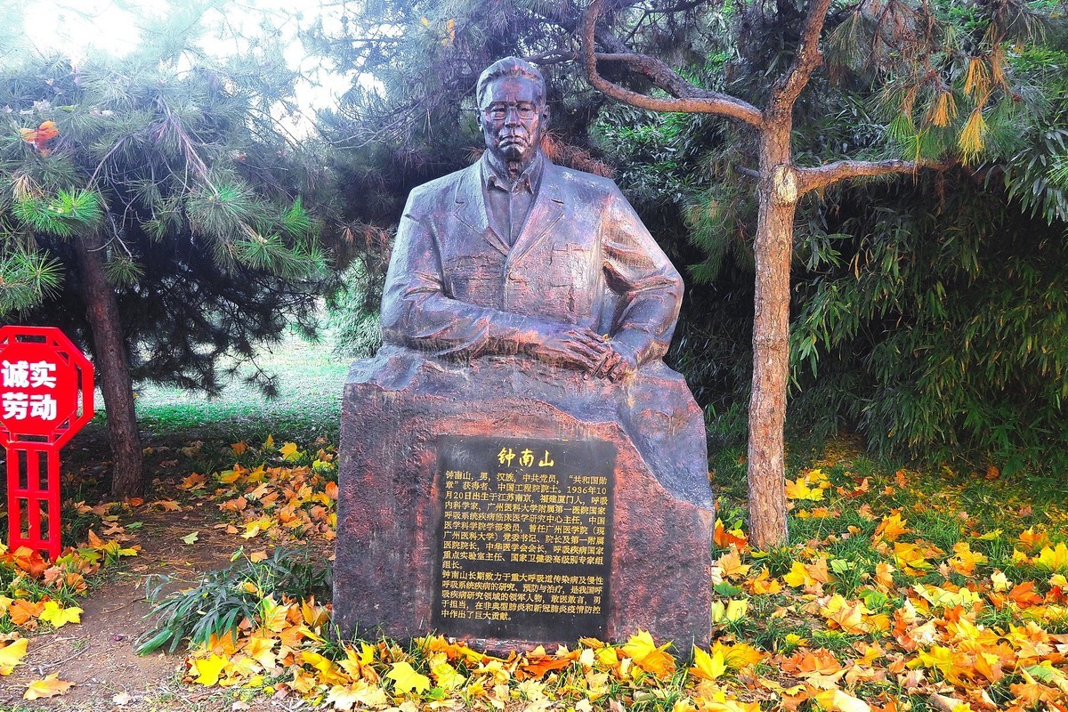 冬日· 街角公园2