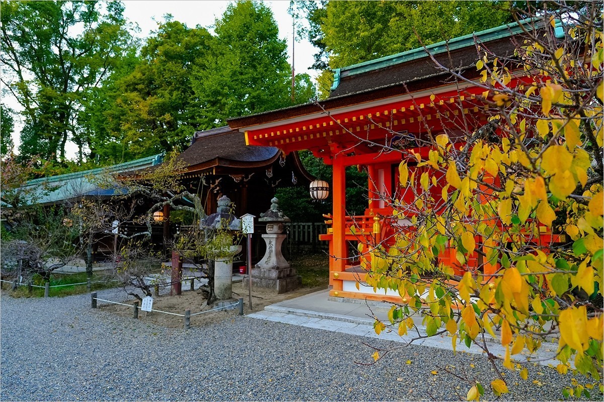 2025年第0114贴-京都北野天满宫旅拍（0221）