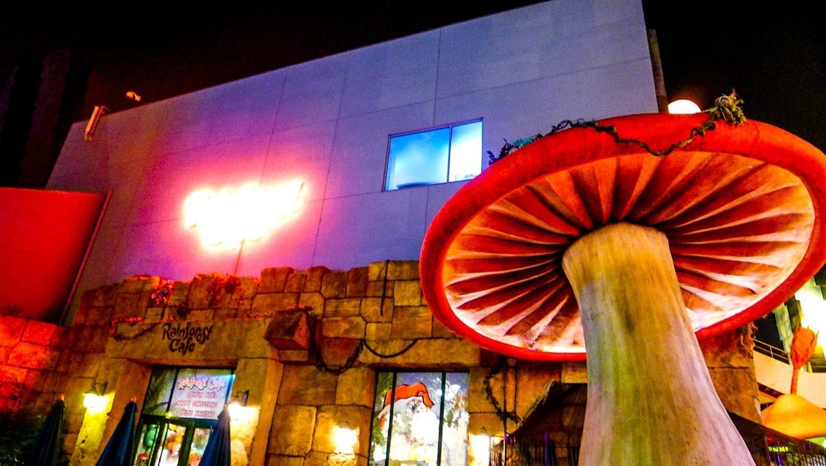 “迪斯尼”夜摄（巴黎）