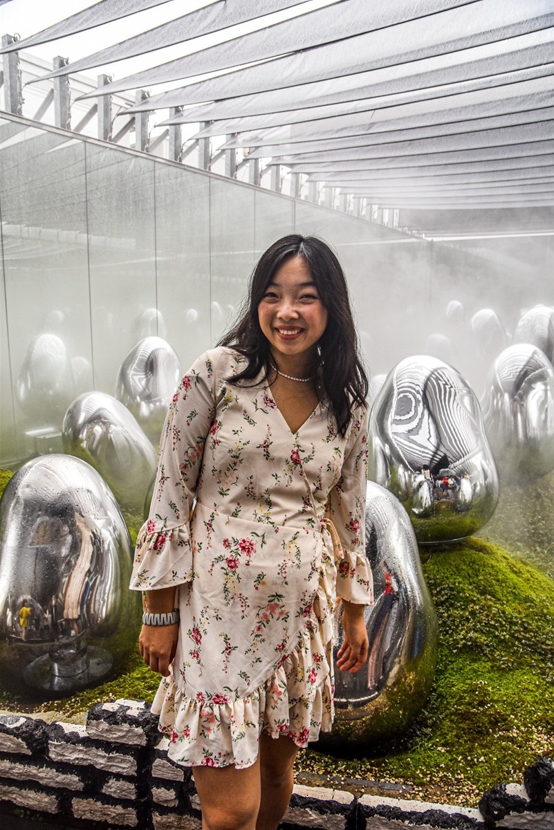 人在“浅草-秋叶原”（日本）