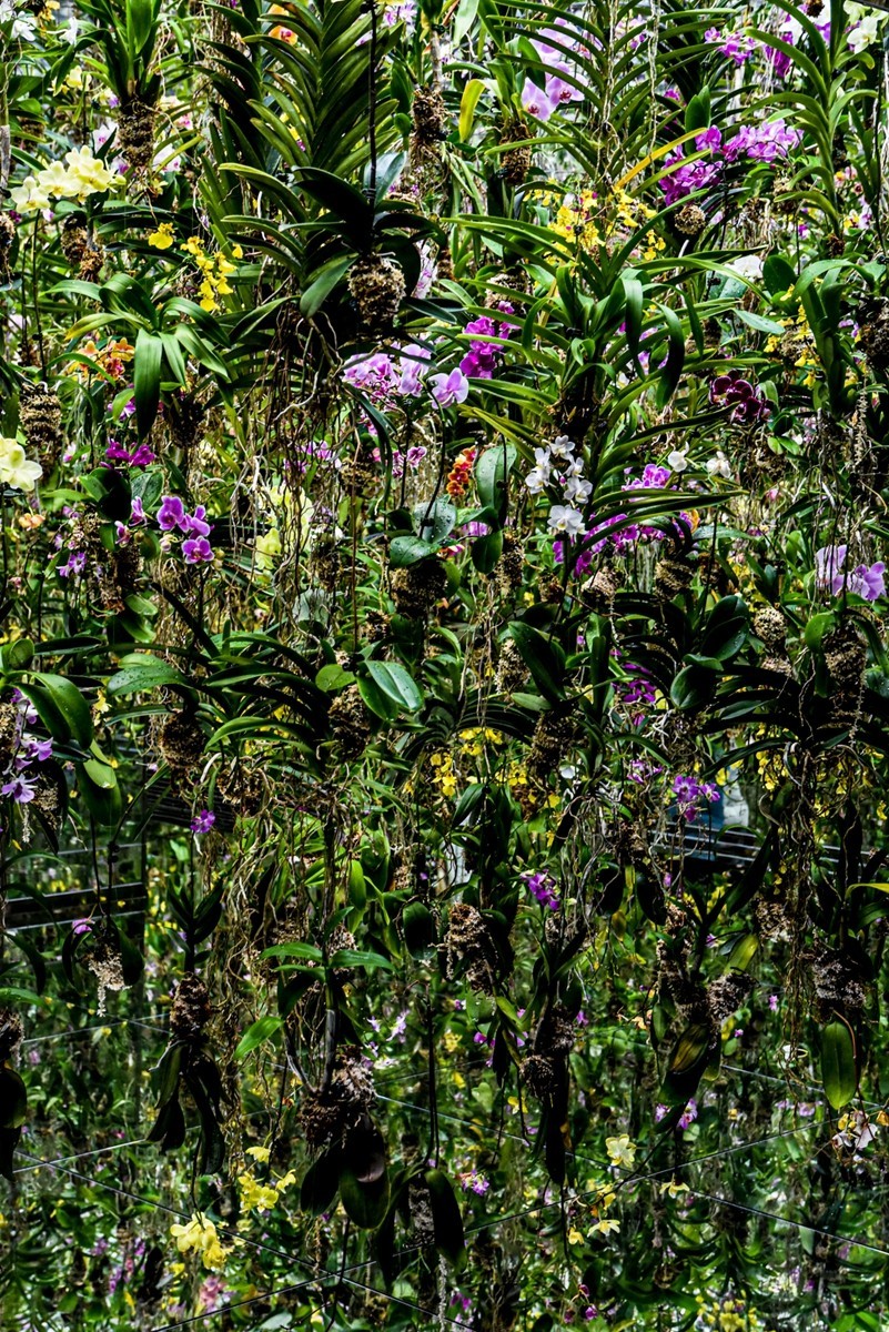 人在“浅草-秋叶原”（日本）