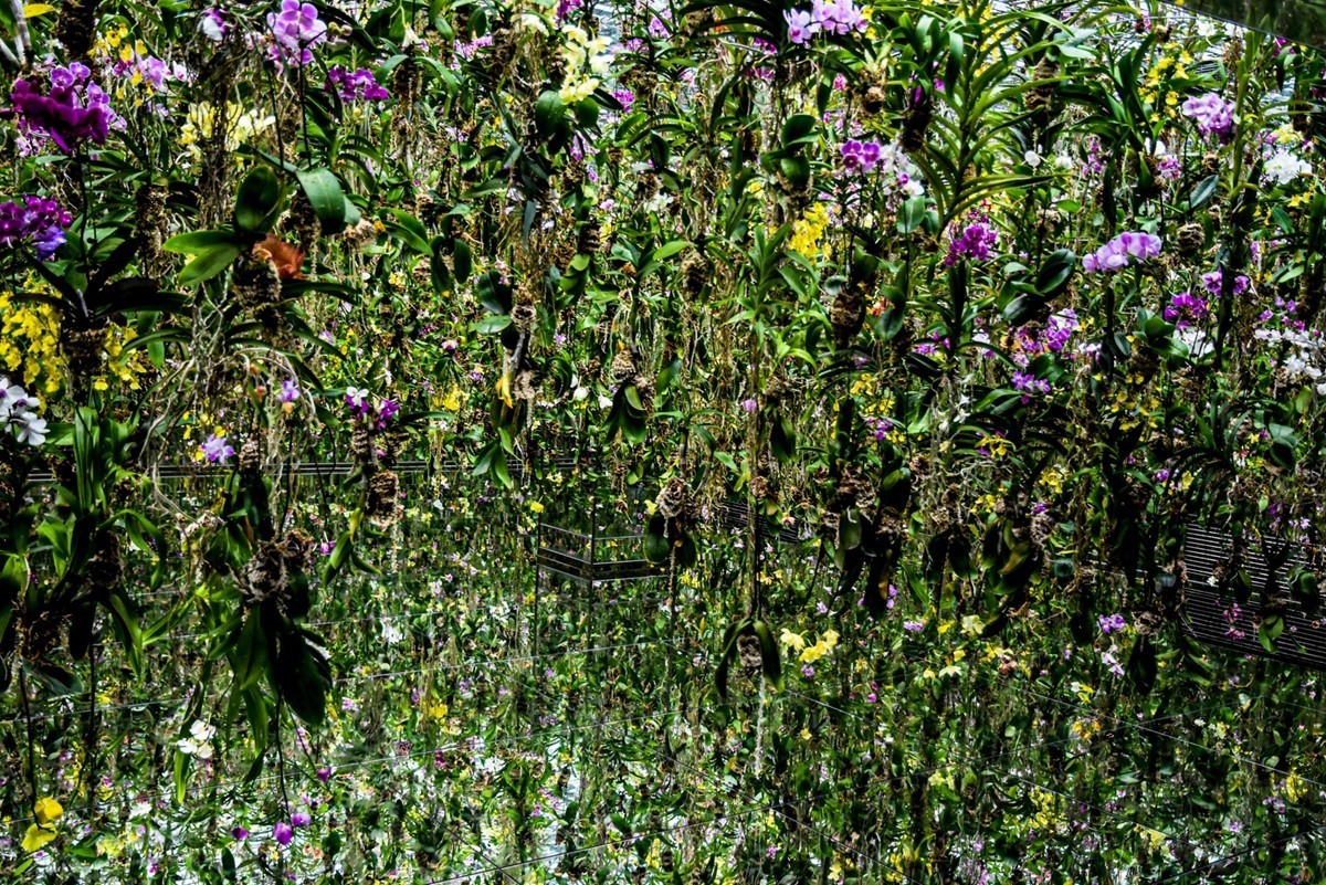 人在“浅草-秋叶原”（日本）