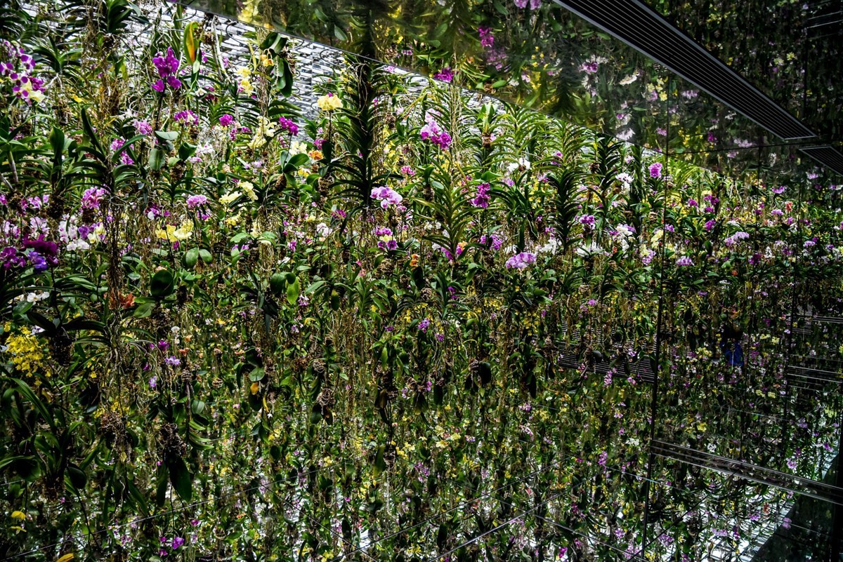 人在“浅草-秋叶原”（日本）