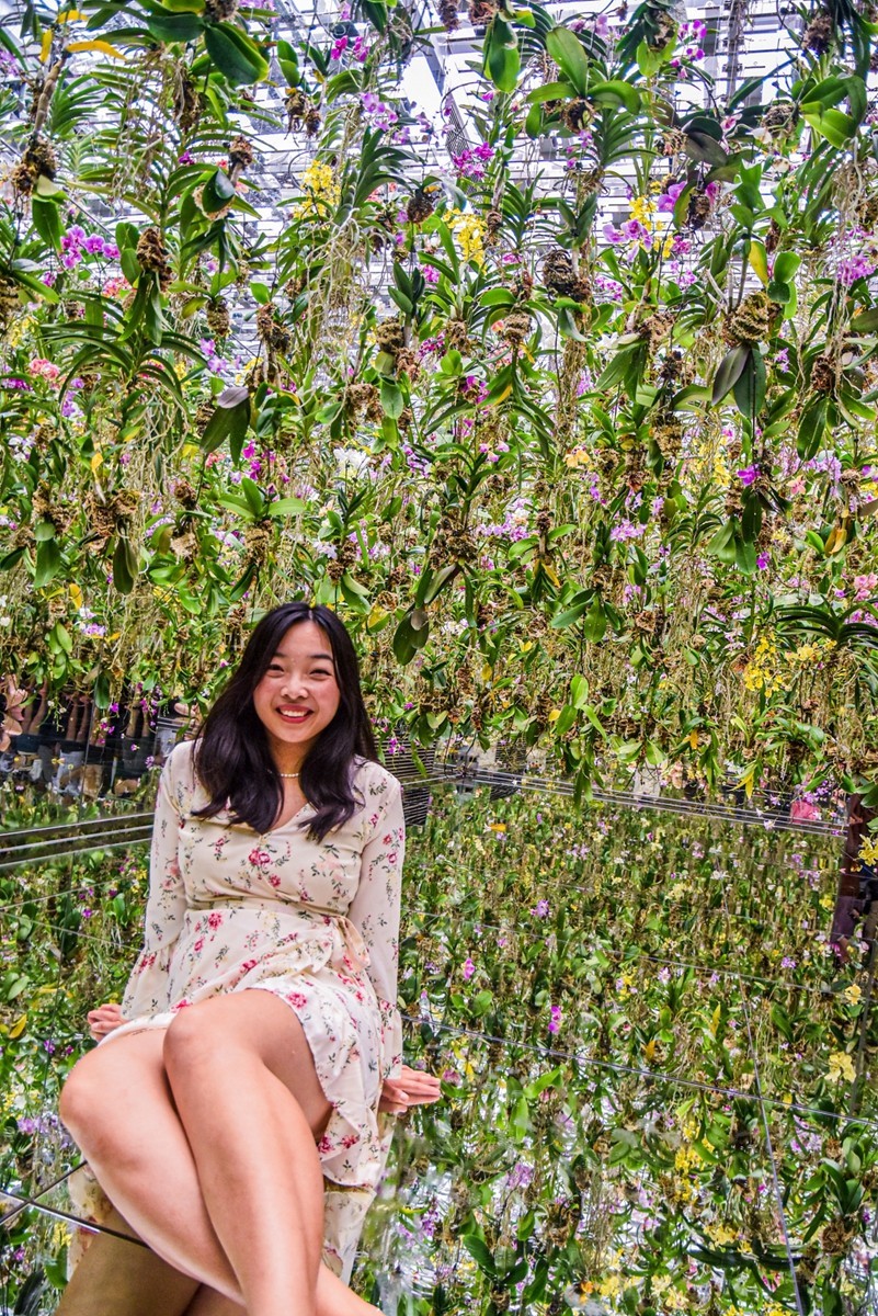 人在“浅草-秋叶原”（日本）