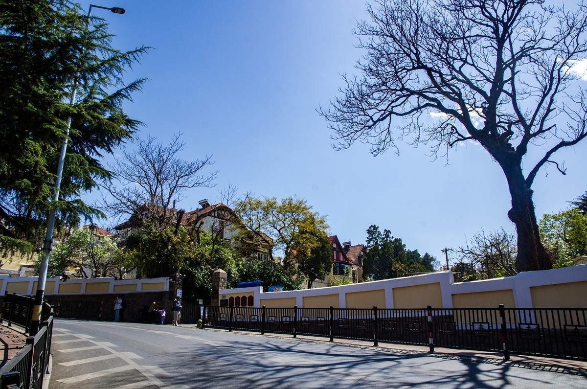 青岛美术馆掠影