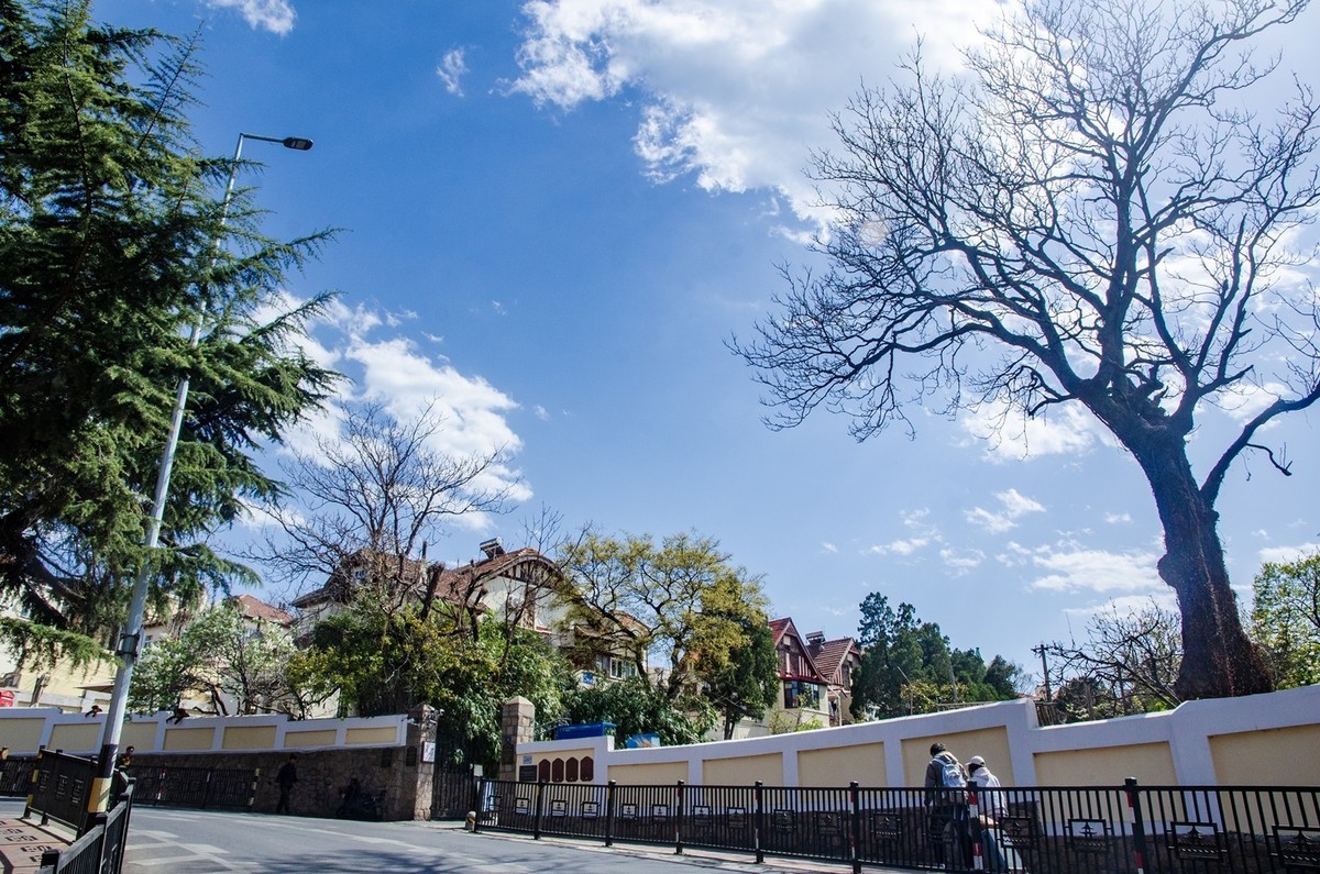 青岛美术馆掠影