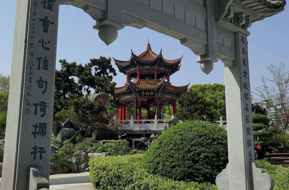 东湖牡丹盛开