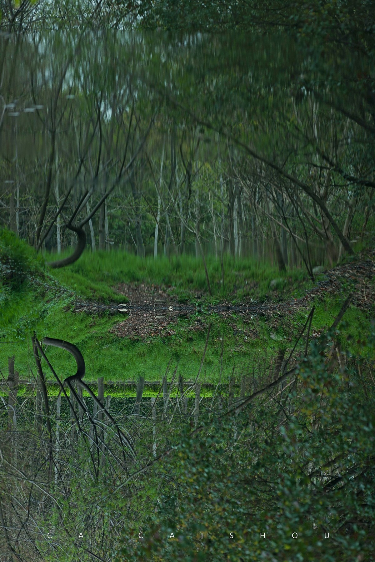 【菜々手摄影】雨后的下午