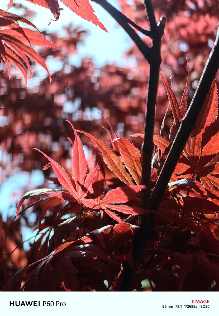 合肥龙湖天玺小区随拍