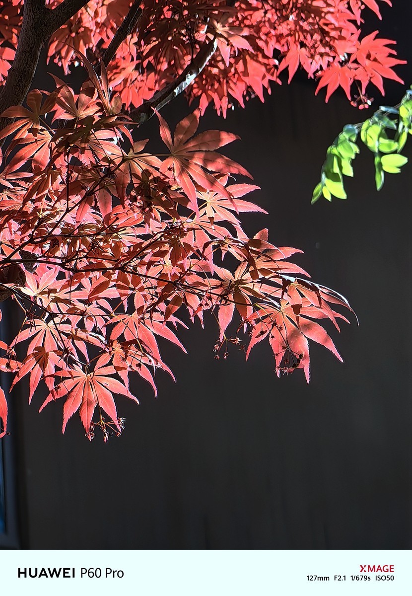 合肥龙湖天玺小区随拍