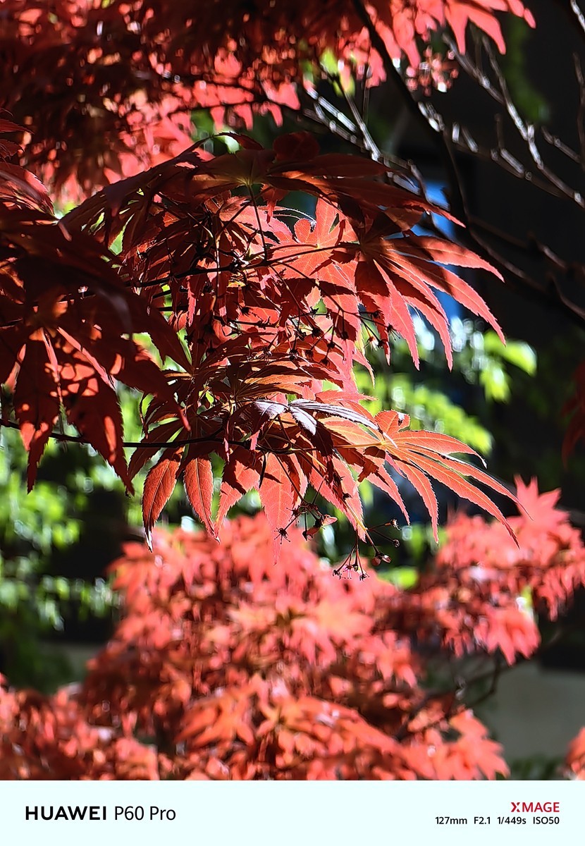 合肥龙湖天玺小区随拍