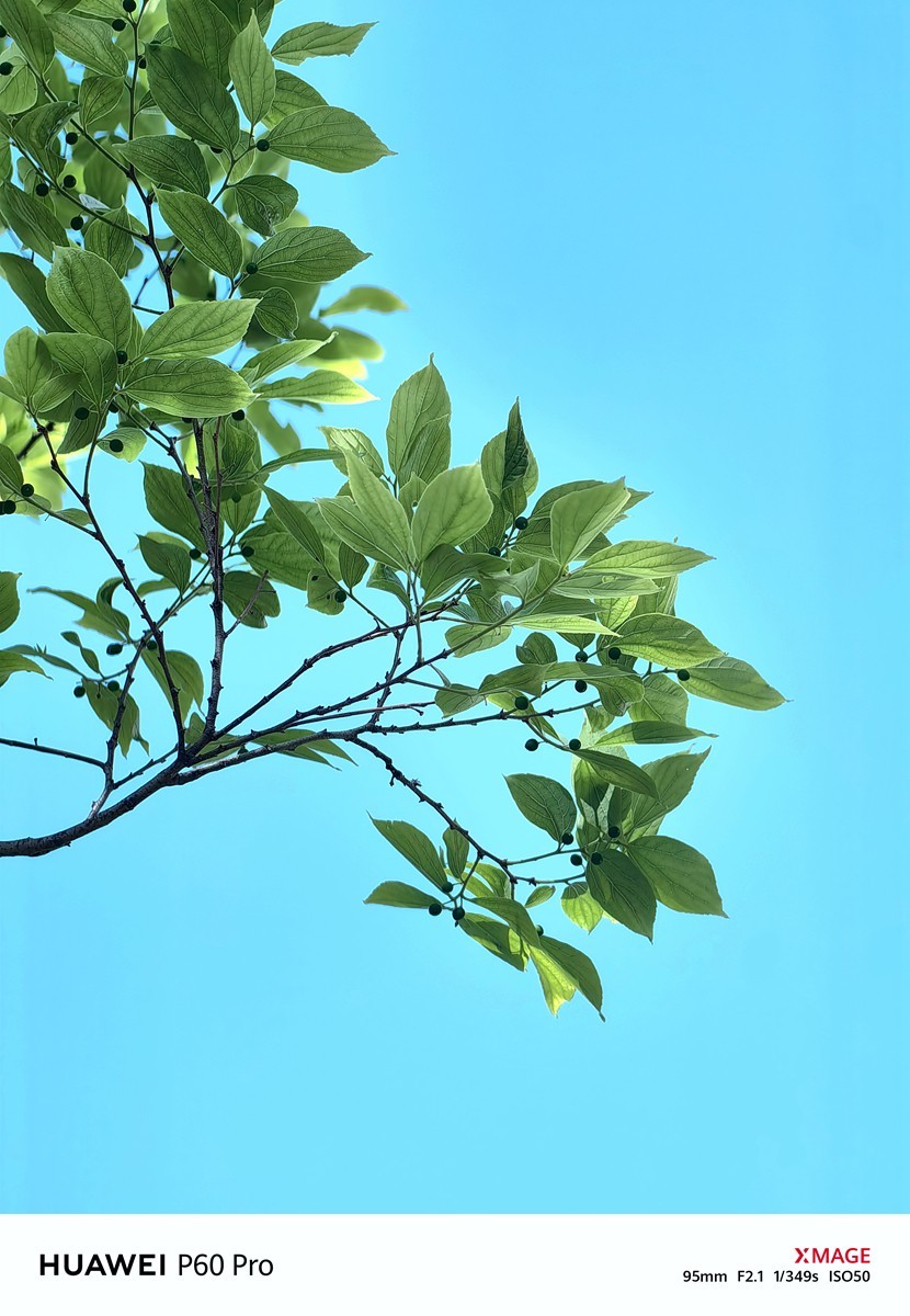 合肥龙湖天玺小区随拍