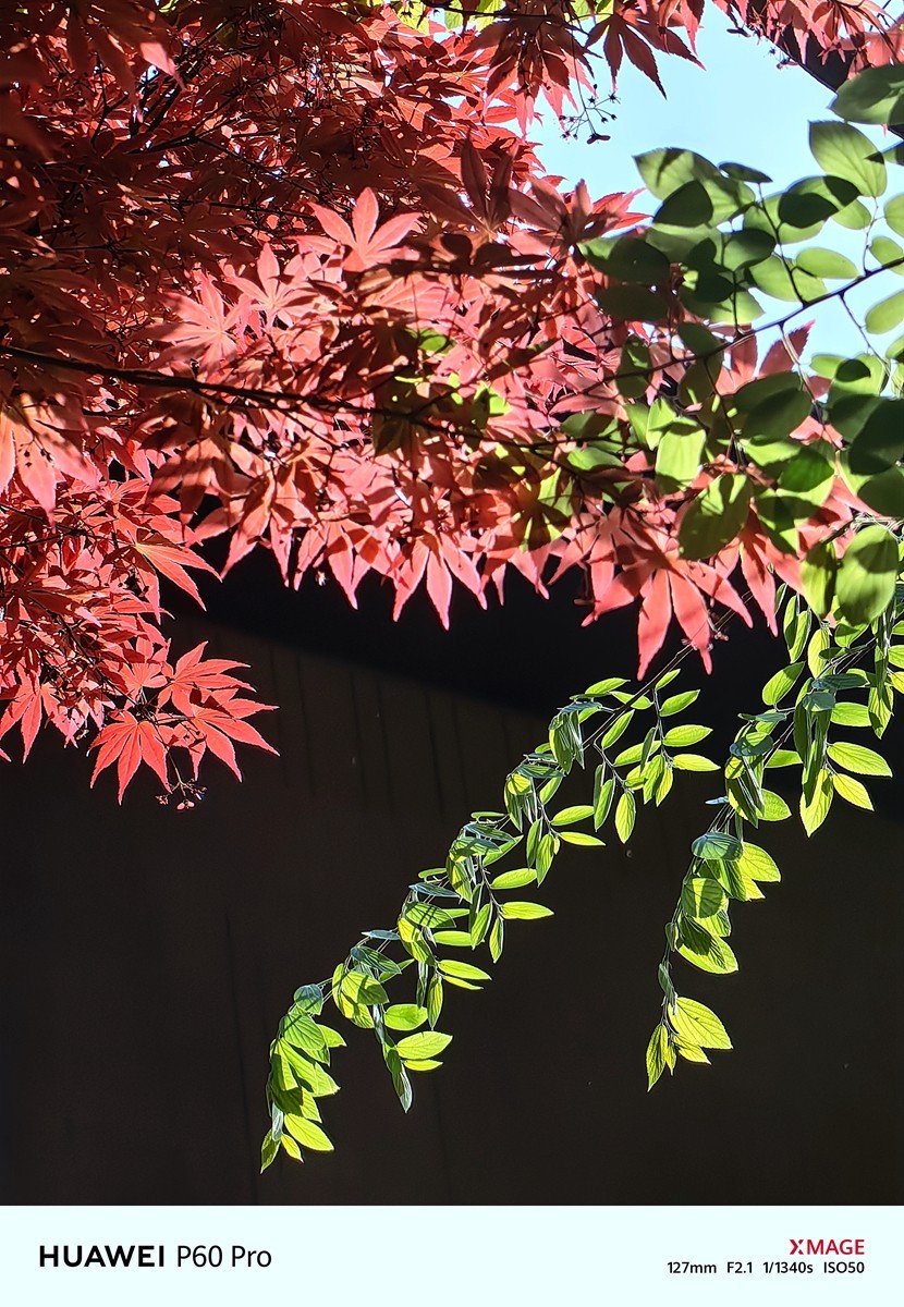 合肥龙湖天玺小区随拍