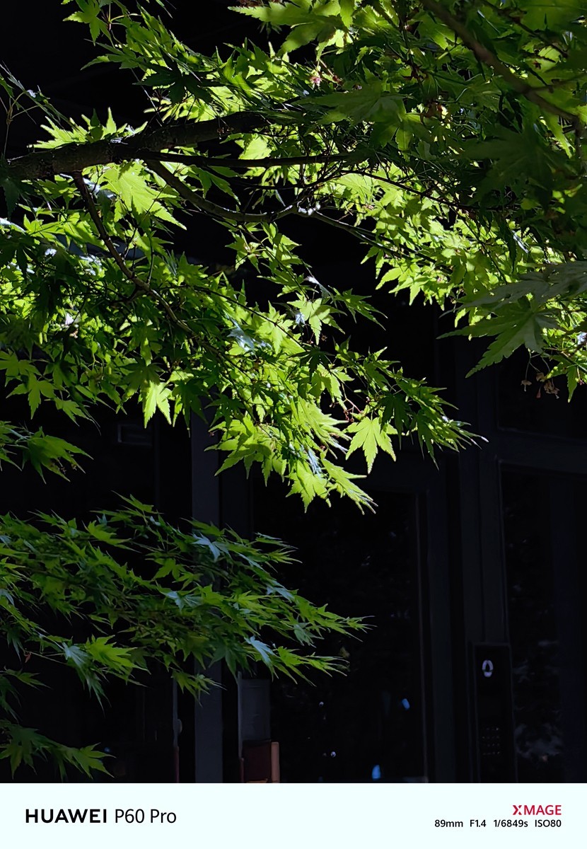 合肥龙湖天玺小区随拍