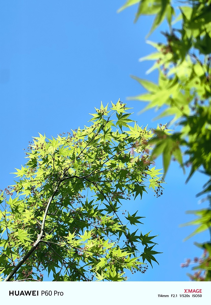 合肥龙湖天玺小区随拍