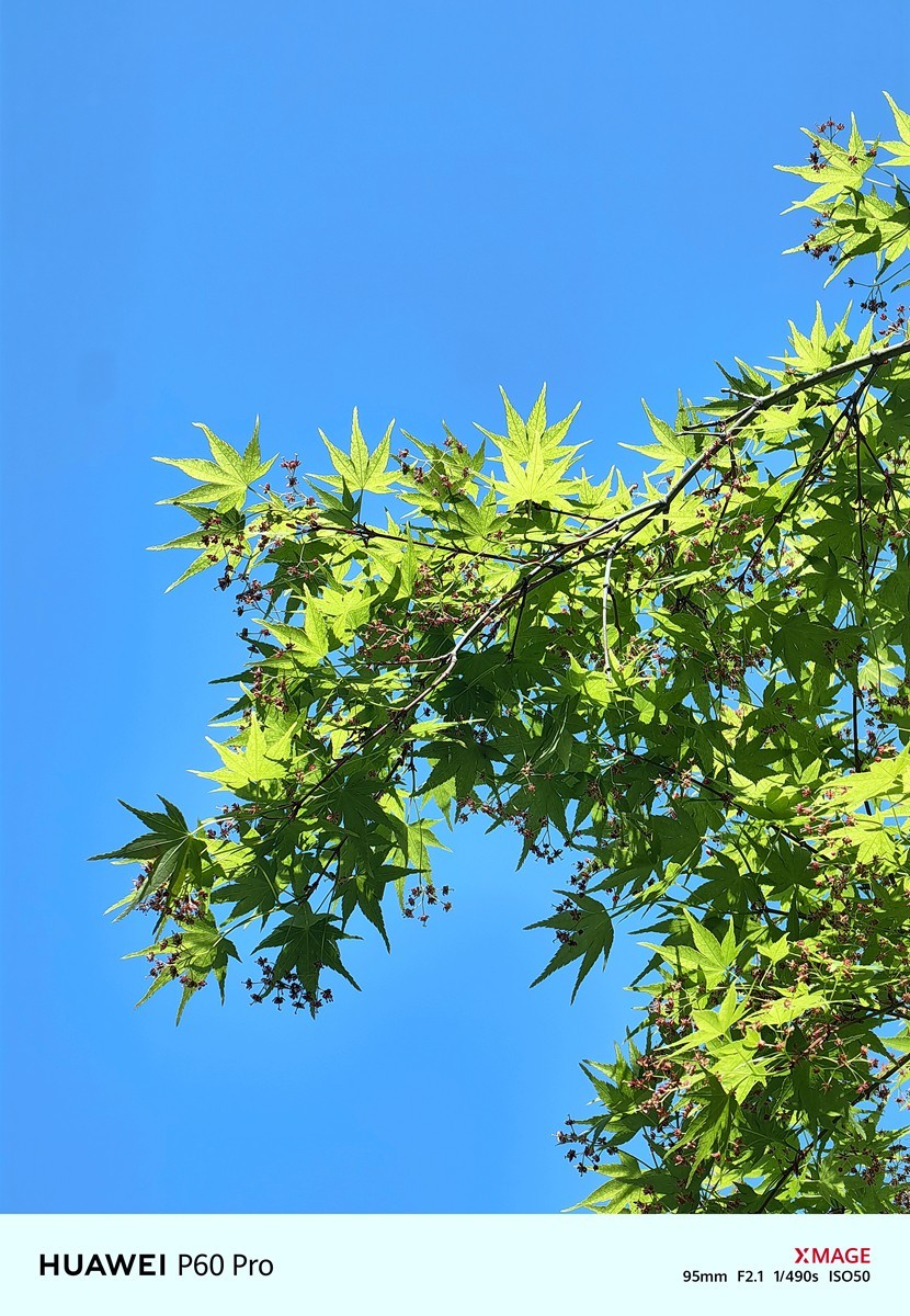 合肥龙湖天玺小区随拍