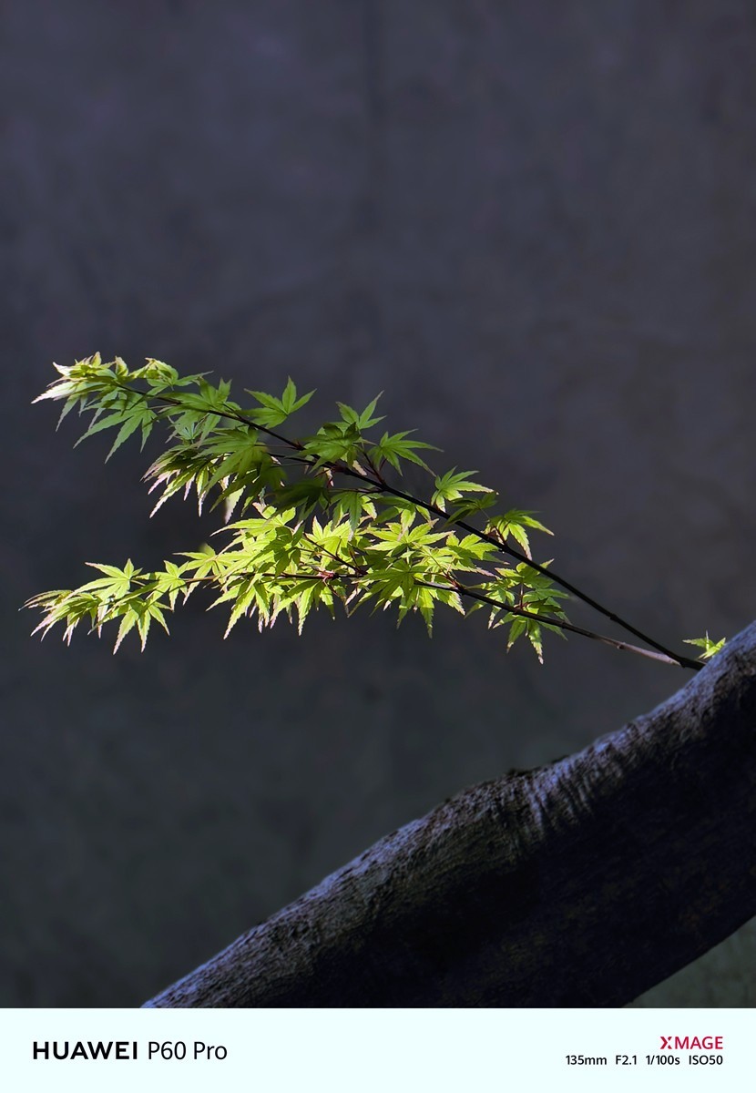 合肥龙湖天玺小区随拍