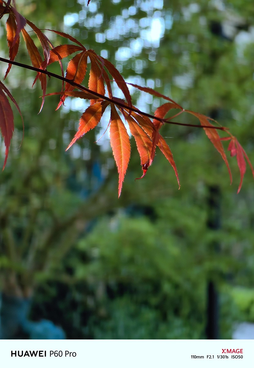合肥龙湖天玺小区随拍