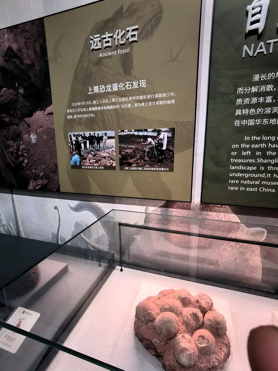 2025春夏之季 湘赣边（2）观览体验上栗文化