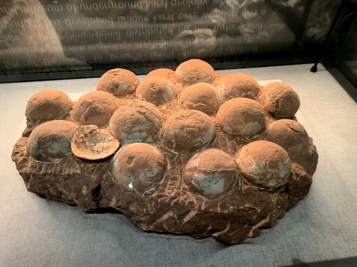 2025春夏之季 湘赣边（2）观览体验上栗文化