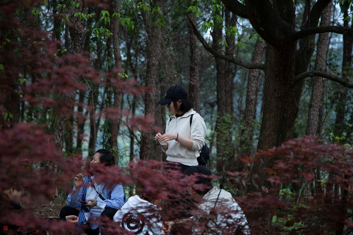 八塘黄金谷（11）