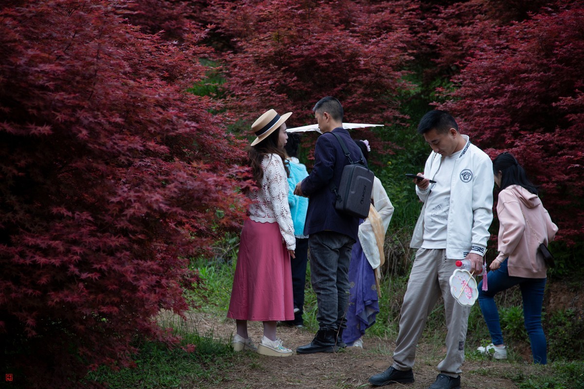 八塘黄金谷（11）