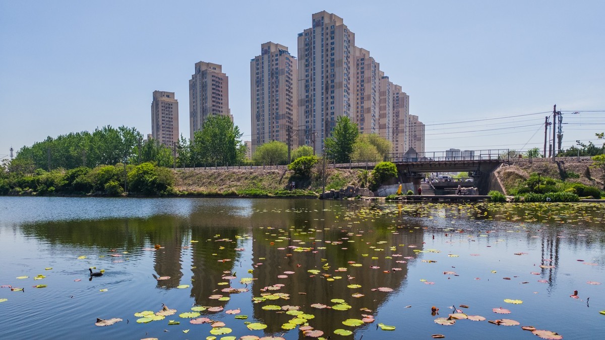 大 连 前 关 湿 地 （ 四 ）