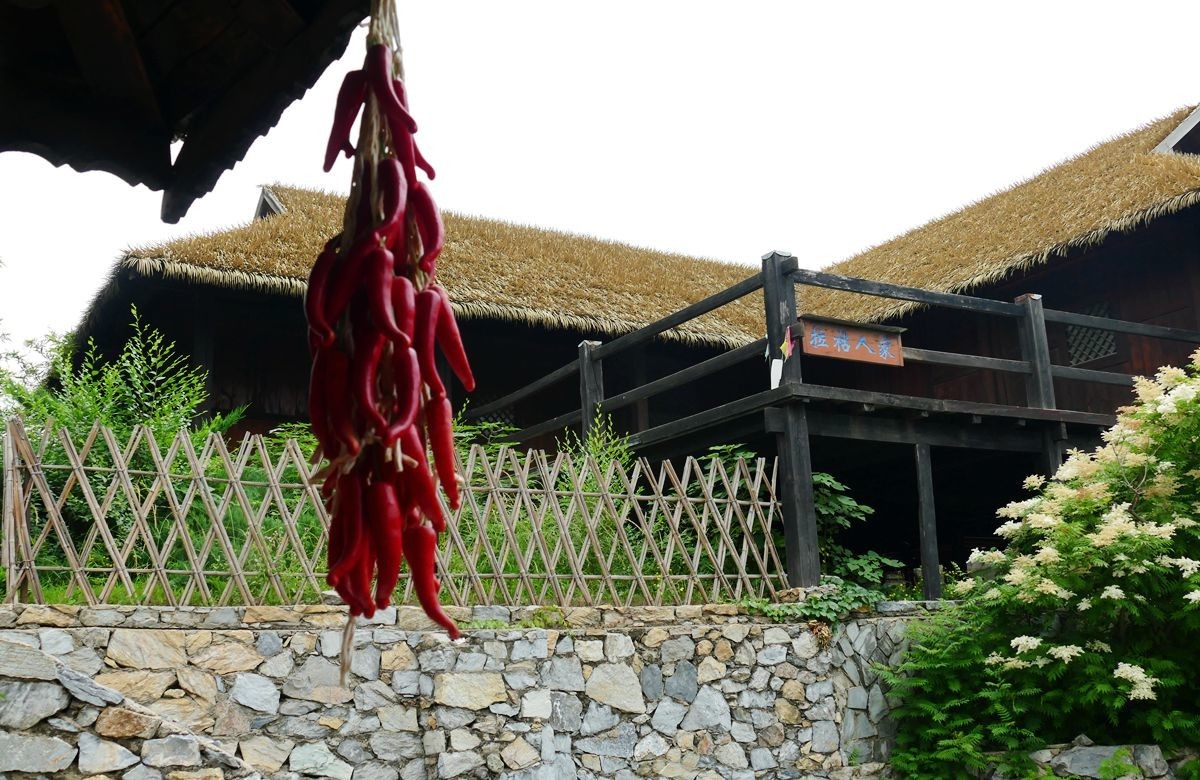 中华民族园夏【二】