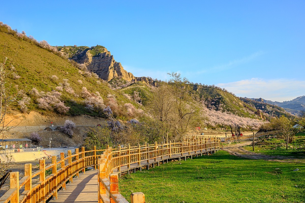 旅游记录：新疆 · 霍城 · 中华福寿山 · 大西沟杏花林（一）