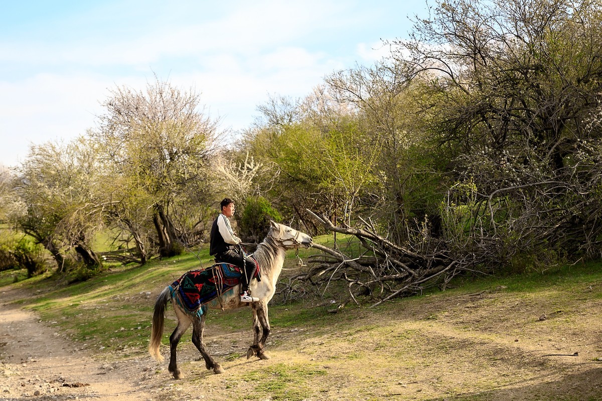 旅游记录：新疆 · 霍城 · 中华福寿山 · 大西沟杏花林（一）