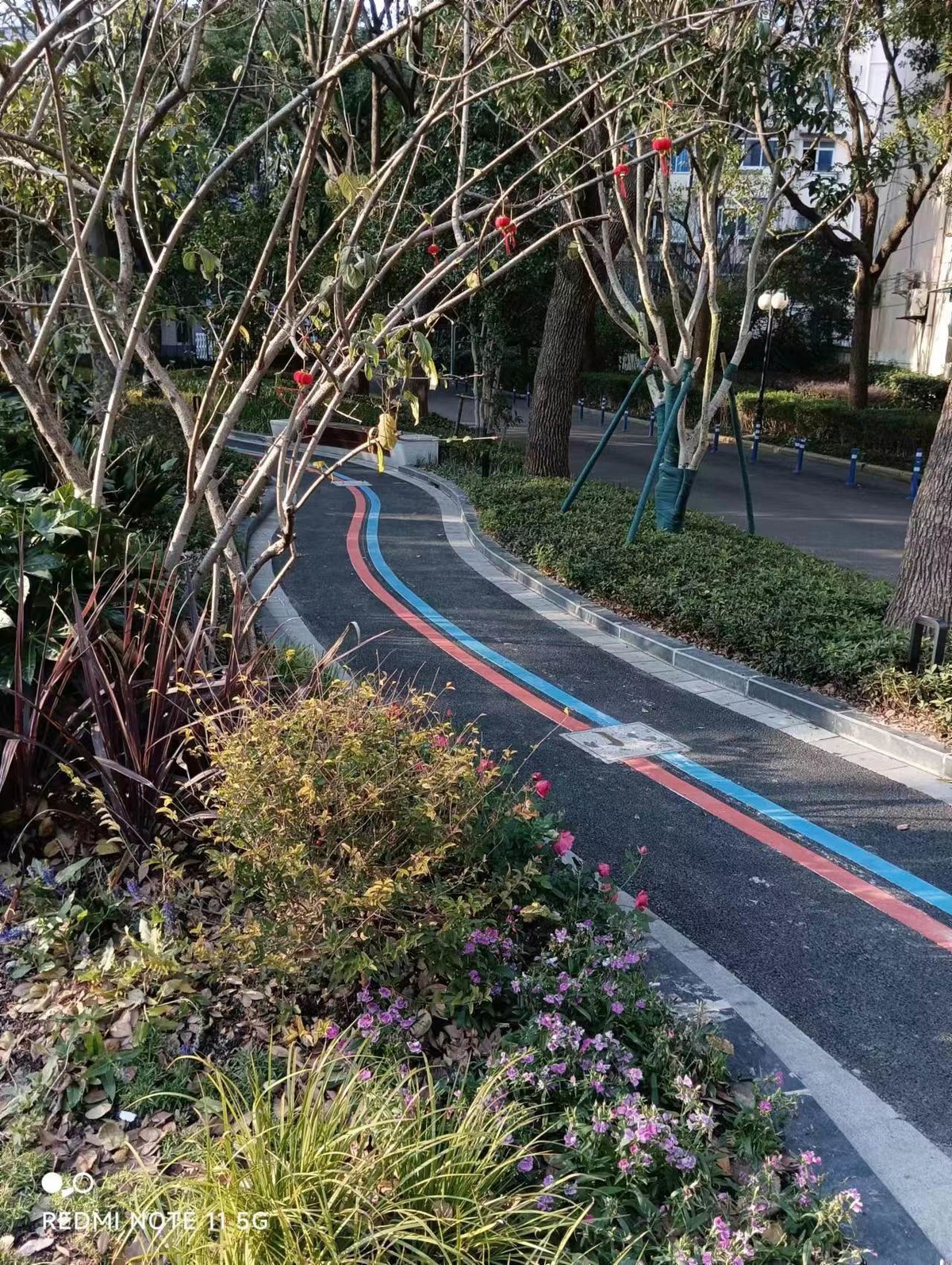 #2023不一样的春节#  洋泾社区绿地换新颜