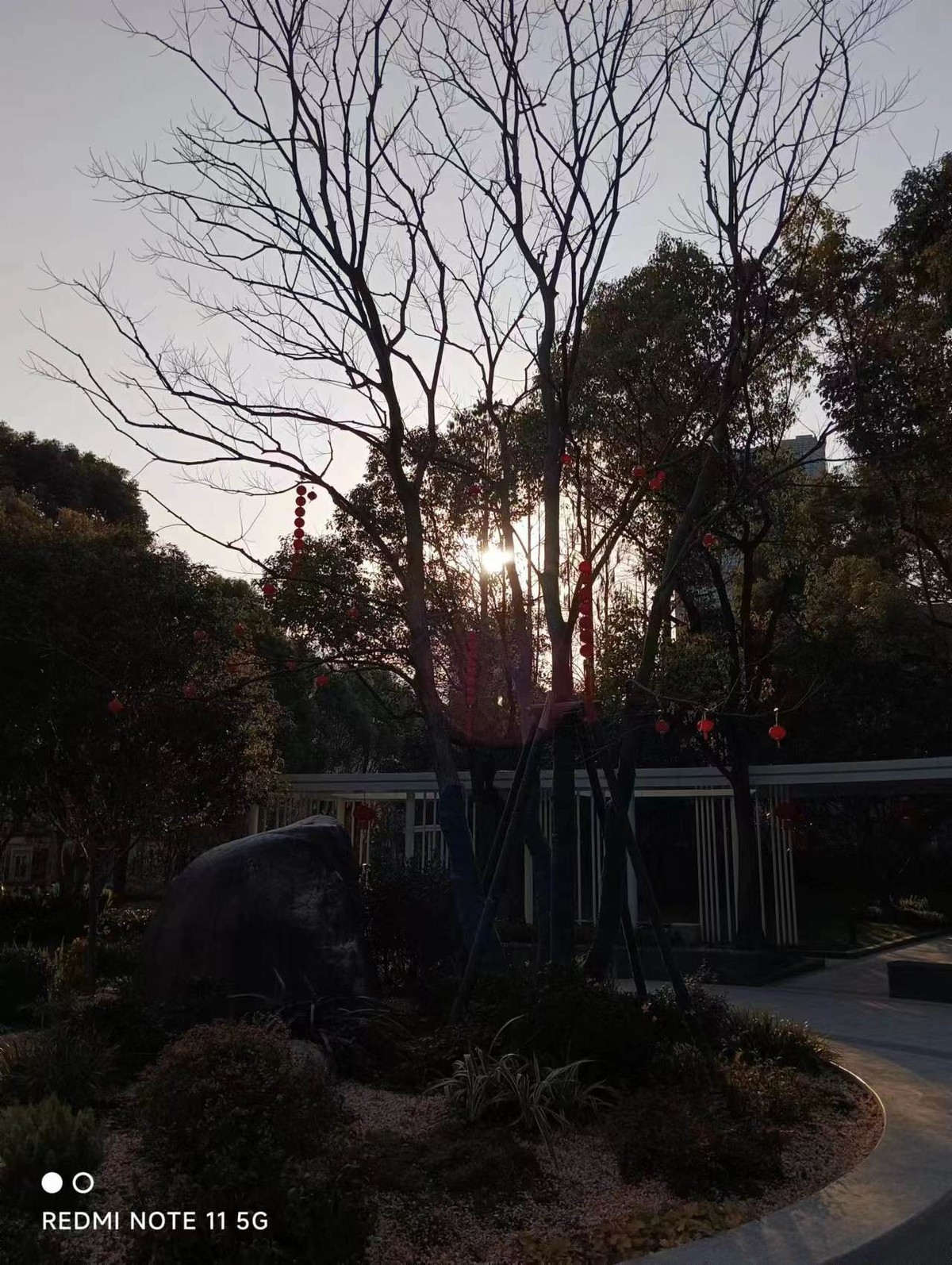 #2023不一样的春节#  洋泾社区绿地换新颜
